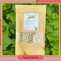 ลูกใต้ใบ ชนิดแคปซูล ช่วยปกป้องตับจากพิษของสารเคมี บรรจุ 100 แคปซูล smile_herbs