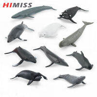 HIMISS 3C แบบจำลองชีวิตในทะเลตุ๊กตาวาฬหลังค่อม Beluga ตุ๊กตาวาฬโมเดลสัตว์ทะเลของเล่น