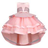 【CW】 2023 new children  39;s dress princess net yarn flower puffy sleeveless trailing piano performance