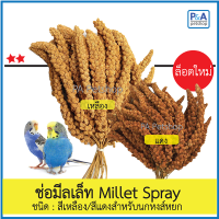 ล็อตใหม่!!ช่อมีลเล็ท Millet Spray สีเหลือง/สีแดงสำหรับนก [แบ่งขาย100g]