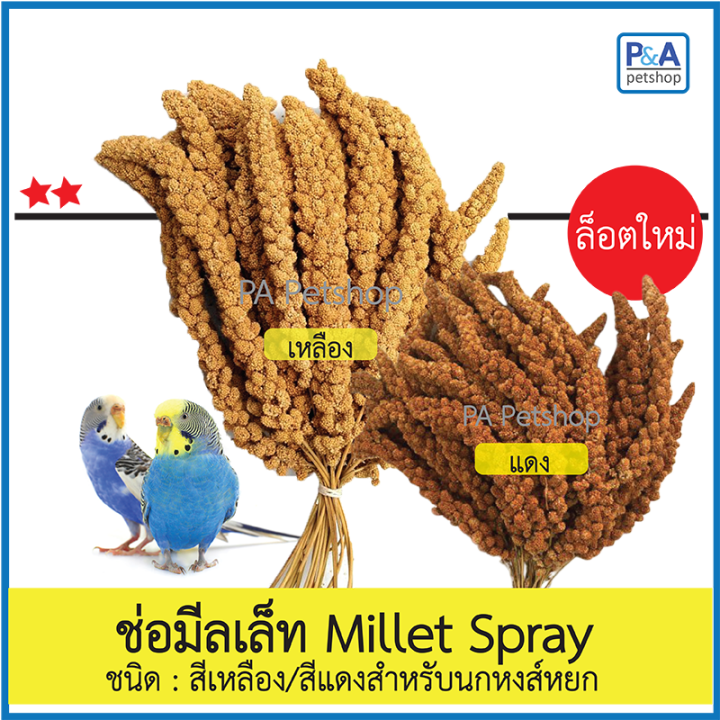 ล็อตใหม่!!ช่อมีลเล็ท Millet Spray สีเหลือง/สีแดงสำหรับนก [แบ่งขาย100g