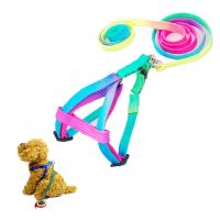 【CW】 Adjustable Cat Pet Collar Harness Leash Set For Cats Dog Small Pets Breakaway Rainbow Nylon Rabbit Dogs Leash