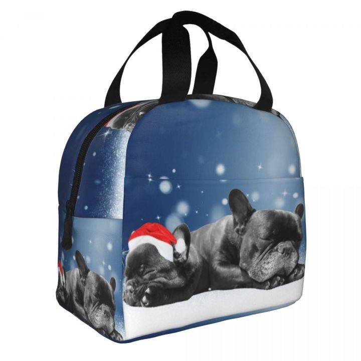 custom-cute-pet-french-bulldog-lunch-bag-women-cooler-thermal-insulated-lunch-boxes-for-children-school-thermal-bags-lunchbag