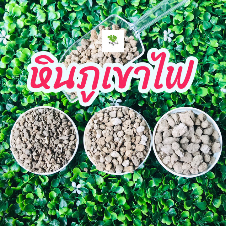 หินภูเขาไฟ-ตกแต่งกระถาง-ระบายน้ำได้ดี-ป้องกันรากเน่า-เบอร์-00-01-02-ขนาด-500-กรัม-homes