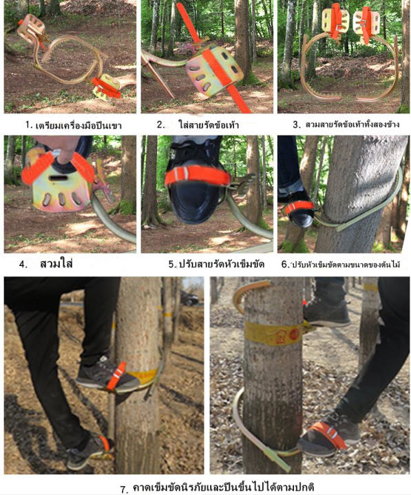 gregory-อุปกรณ์ปีนต้นไม้-tree-climbing-ที่ปีนต้นไม้-ปีนต้นไม้-รุ่น-อุปกรณ์ปีนต้นไม้-อุปกรณ์ปีนเสาไม้-รองเท้าปีนต้นไม้-เข็มขัดเซฟตี้-เข็มขัด-ปีนเสา-เซฟตี้เบล-safety-beltเข็มขัดเซฟตี้-เข็มขัด-ปีนเสา-เซฟ