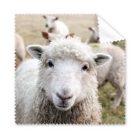 m Sheep Animal Picture Cleaning Cloth Phone Screen Glasses Cleaner 5pcs Lens Cleaners