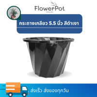 กระถาง โมเดิร์น  5.5 นิ้ว สีดำเงา กระถางเกลียว สวยไฮ วางบนที่ไหนก็ดูดี๊ดูดี