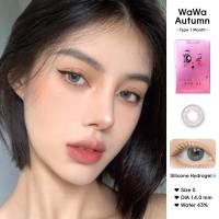 Wawa Autumn เลนส์สีเทา ใหม่จาก Sisse lens รุ่นรายเดือน พร้อมส่งค่าสายตาปกรติ รุ่นนี้สวยมากค่ะ