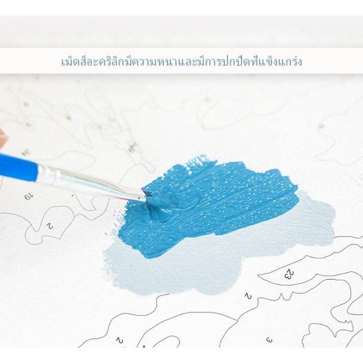 drofe-ภาพระบายสีตามตัวเลข-diy-คอลเลกชันภาพดอกทานตะวัน-สำหรับตกแต่งบ้าน-ขนาด-50x40-ซม