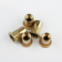 10Pcs M3 M4 M5 M6 M8 M10 M12 Rivet Insert Cap Rivet Nut Zinc Plated Carbon Steel Knurled Nuts Flat Head Threaded