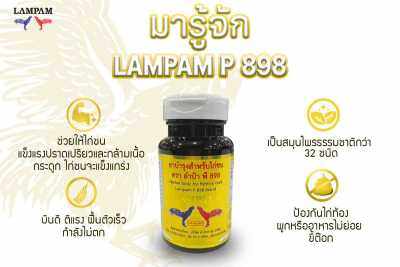 MEGA LAMPAM P.898 เมก้า ลำปำ พี.898 100 เม็ด 299 บาท  รุ่นหม่ลำปำสำหรับเลี้ยงไก่ชนโดยเฉพาะ