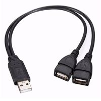 USB Kabel Y Splitter USB 2.0 Male untuk 2 Dual Female HUB Adaptor 2 Port Sync Data Pengisian Daya konverter Kabel Ekstensi