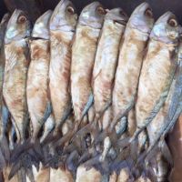 ปลาทูหอม ปลาทูเค็มใหญ่ สะอาด สดใหม่  ขนาด 3-5 ตัว (500 กรัม) อาหารทะเลแปรรูป อาหารแห้ง