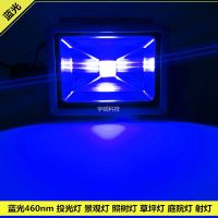 ✙△✜  30 w project-light 20 Gao Liangzhao tree lawn 50 courtyard light blue background foot