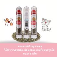 Bioline Catnip  ขนมแมว ผงแคทนิป กัญชาแมว ใช้โรยบนของเล่น ผ่อนคลาย สำหรับแมวทุกวัย  ขนาด 5 กรัม