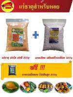 แร่ธาตุหอย ชุดแร่ธาตุสำหรับหอย แร่ธาตุเร่งโต 500g แคลเซียม 500g ฟรีอาหารเม็ดลอย 200g  หอยเชอร์รี่สีทอง หอยเนื้อทอง หอยปัง หอยโข่ง