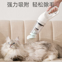 Spot Pet Handheld Portable Electric Hair Pump Dog Cat Brush Big Suction Power Clean Scratch