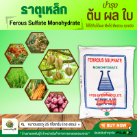 ผงจุลธาตุเหล็ก Ferous Sulfate Monohydrate FeSO4.H2O (30%Fe) บรรจุ 25 กิโลกรัม