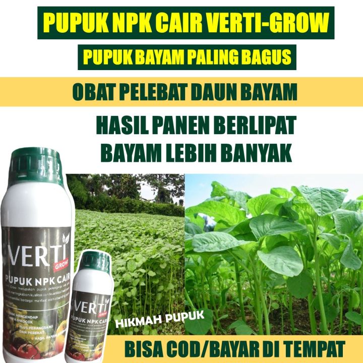 (PUPUK BAYAM) PUPUK NPK VERTIGROW OBAT ORGANIK PELEBAT BAYAM Biar