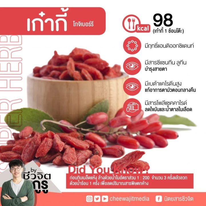 เก๋ากี้-โกจิเบอร์รี่-เก๋ากี้อบแห้ง-เม็ดใหญ่-100-กรัม-goji-berry-โกจิเบอรี่-แสนดีโปรดักส์