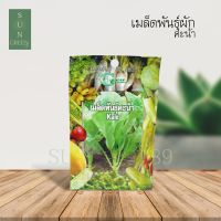 Green Garden เมล็ดพันธุ์ผักคะน้า (Kale)