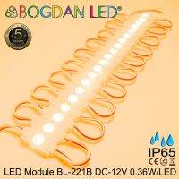 LED Module, BL-221B DC-12V 0.36W/Module 7.2W/Panel แอลอีดีโมดูลกันน้ำIP65สำหรับตัวป้ายไลท์บ็อกและป้ายโฆษณา ราคาต่อ 1 แผง