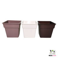 Plant Pot กระถางต้นไม้ Cactus แคคตัส กระถางกระบองเพชรขนาดเล็ก กว้าง 3.25 นิ้ว สูง 8 ซม. สีขาว ดำ น้ำตาล