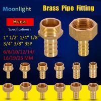 Brass Hose Fitting 6/8/10/12/14/16/19/25mm Barb Tail 1/8 quot; 1/4 quot; 3/8 quot; 1/2 quot; 3/4 quot; 1 quot; BSP Male Female Thread Copper Connector Coupler