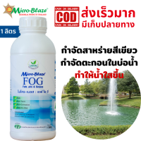 Micro-Blaze F.O.G 1ลิตร หัวเชื้อจุลินทรีย์กำจัดสาหร่ายสีเขียวแกมน้ำเงิน ย่อยสลายกากตะกอน ทำให้น้ำใสขึ้น ลดกลิ่นเหม็นในบ่อน้ำ ท้าพิสูจน์