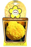 ดาวเรือง มิดฟิวด์ สีเหลือง African Marigold  เมล็ดพันธุ์ดอกไม้ AGA เอกะ อะโกร เหมาะสำหรับปลูกเป็นไม้กระถาง