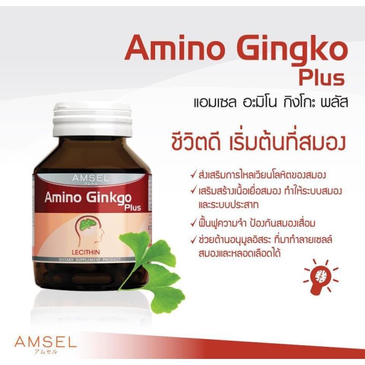 amsel-amino-gingko-plus-45-แคปซูล-แอมเซล-อะมิโน-กิงโกะ-พลัส-สารสกัดจากใบแปะก๊วย