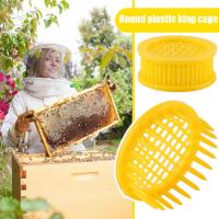 6 Pcs Beekeeping Rearing Box Plastic Queen Bee Cages For Isolation Beel Equipment Of Queen Beekeeping C2K2