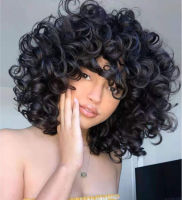 Womans Fashion Short Curly Wig Afro Kinky Curly Hair Wigs for Black Women African Synthetic Ocean Wavy Wigs Costume Party Wigs