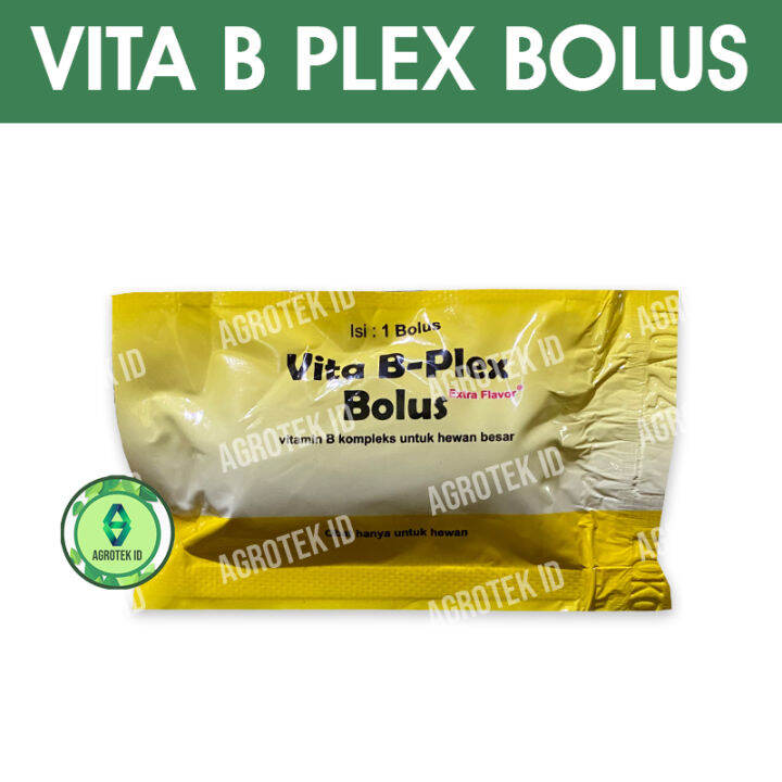 VITA B PLEX Bolus Vitamin B Kompleks Untuk Hewan | Lazada Indonesia