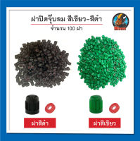 ฝาจุ๊บลม สีเขียว ฝาไนโตรเจน ฝาจุ๊บลมยางรถยนต์ จำนวน 100 ฝา