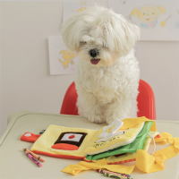 Sniffing Mat Book Washable Dog Cat Smell Training Pad Consume Energy Puzzle Toys Dog Release Stress Train