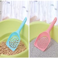 【CW】 1pcs shovel cat poop cleaning supplies litter  sand scoop dog food spoon