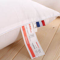 2Pcs 40X40cm 50X50cm 60X60cm Customized size Pillows Cushions White color Bed Pillow for sleeping almohada oreiller