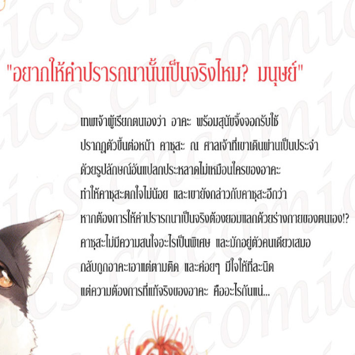 การ์ตูนวาย-c4-จนกว่าเราจะพบกันเทพเจ้าของผม