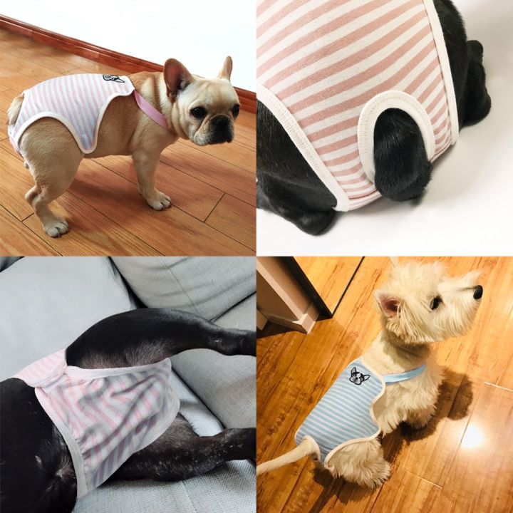 papi-pet-กางเกงในกางเกงสำหรับสรีรของสัตว์เลี้ยงน่ารัก-กางเกงในมีสายผ้าอ้อมผ้าฝ้ายสำหรับสุนัขสุนัขลูกสุนัขแมว
