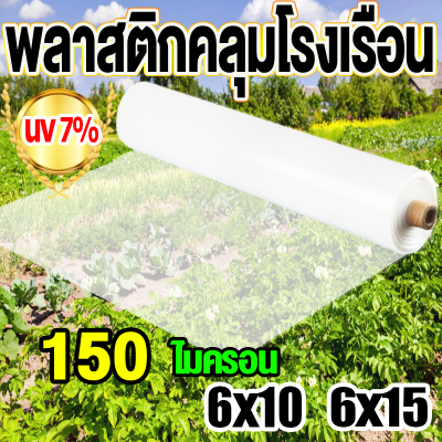 พลาสติกคลุมโรงเรือน โรงเรือน พลาสติกโรงเรือน ขนาด 3x5 4x5 3x10 4x10 5x7 5x10 6x10 6x15 พลาสติกใสโรงเรือน PE พลาสติกโรเรือน พลาสติกใสคลุม กันสาด ปูบ่อ Green House พาสติกโรงเรือน สีใส โรงเรือนแคคตัส คลุมหลังคา พลาสติกใสกันฝน พลาสติกโรงเรือน โรงเรือน