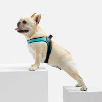 Stunt Puppy Dog Harness Easy Classic Leash Dogs Chain French Bulldog Chihuahua Cat Pug Spitz อุปกรณ์เสริมสำหรับสัตว์เลี้ยงขนาดเล็ก