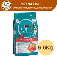 Purina One Healthy Adult เพียวริน่า วัน ปลาแซลมอน และทูน่า 6.6Kg