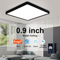 LED Ceiling Lamp Tuya Smart Square 24W 36W RemotePhone App Voice Alexa Control Ultrathin Large Ceiling Light Living Room