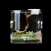 Spider Habitat Feeding Cage Nano กล่องแยกปลาสำหรับแมงมุมตั๊กแตนของเล่นแมงป่อง Mantis ด้วงและขนาดเล็กสัตว์เลื้อยคลาน