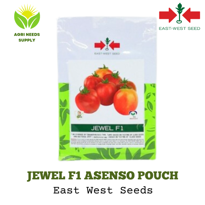 Tomato Jewel F1 East West Seeds asenso pack (minimum of 500 seeds