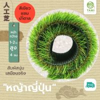 หญ้าเทียม ทามิ หญ้าสูง4ซม.เขียวแซมน้ำตาล กว้าง2ม. ยาวเริ่มต้น1ม.(ตรม.ละ430บาท)สั่งตัดได้ตามต้องการยาว1-25เมตร หญ้าปลอม ถูกๆ ปูพื้น Tami Artificial