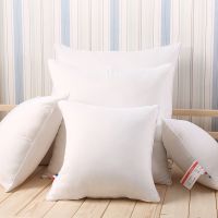 40x4045x4550x5065x6570x70 Pure Color Cushion Core Throw Pillow Inner Cushion Filling Core Home Decor Supplies for Beds White