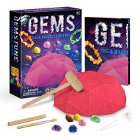 DIY Gemstones Dig Kit Gemstone celet for Kids STEM Toys Activities for Kids Ages with Excavation Tools Gemstone Digging