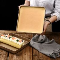 Cake Roll Nonstick Pans Mold for Bread Pastry Oven Tray Baking Accessories and Tools 28cm Square Cookie Pizza Kitchen Bakeware